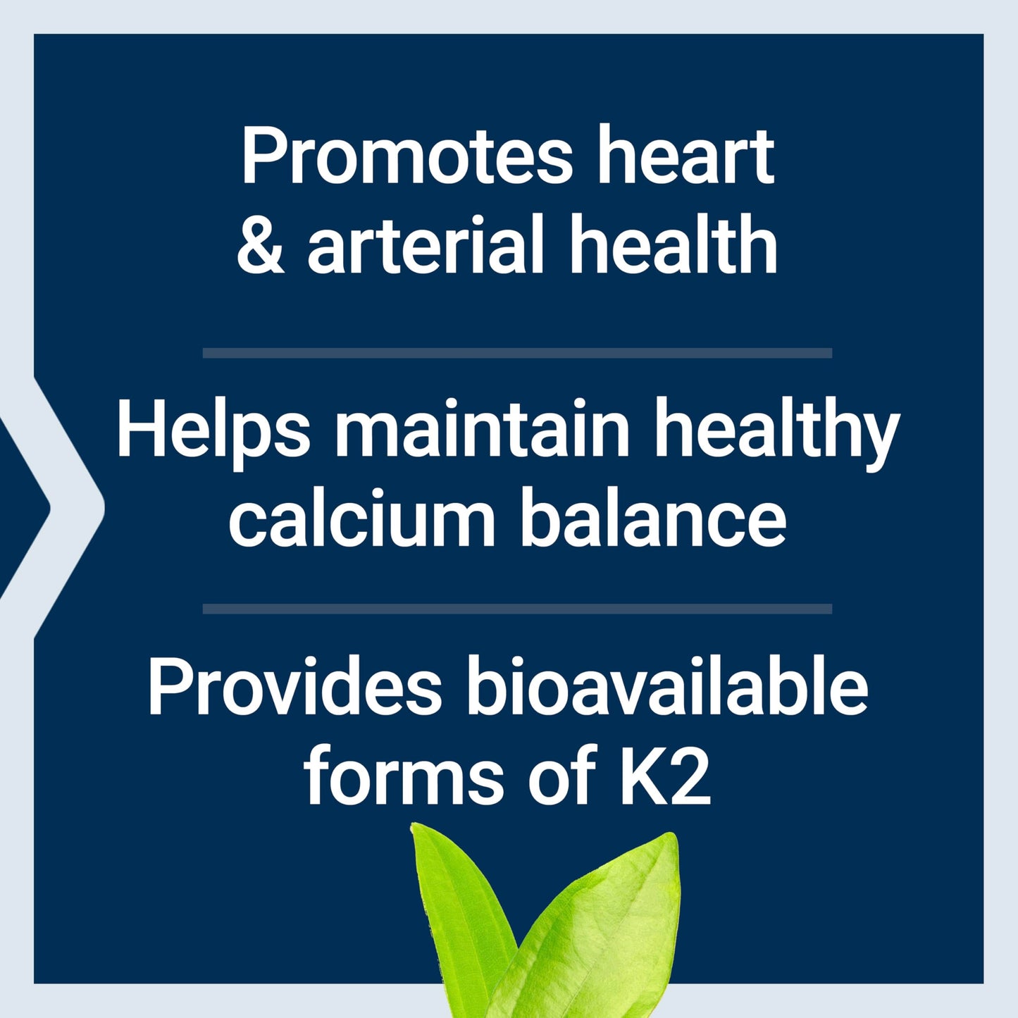 Neuro-Mag Magnesium L-Threonate
