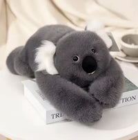 Weighted Koala